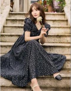 Her lip to Roseraie Long Dress Mサイズ