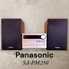 2025年最新】panasonic sa-pm250の人気アイテム - メルカリ