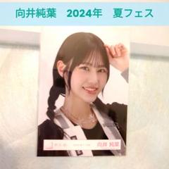 櫻坂46 向井純葉 直筆 生写真 クリスマス衣装2023 ヨリ 櫻坂46 向井純葉 2023年 夏フェス衣装 生写真 ヨリの通販 by
