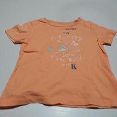 オレンジ色 Tシャツ RL-1944