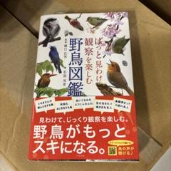 ぱっと見わけ観察を楽しむ 野鳥図鑑