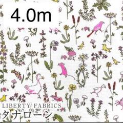リバティ　4.0m リバティ　生地　セオ　ネオン　ピンクネオン　動物