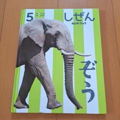 キンダーブック しぜん 2024年-2025年 12冊セット 1年分 しぜんキンダーブック 2024年12月号／めん