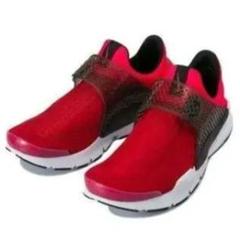 定価15,400円 25.0cm NIKE sock dart kjcrd