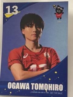 小川智大 トレカ TBS 購入特典 ネーションズリーグ バレーボール 日本代表