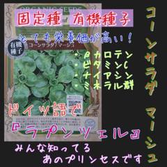コーンサラダ マーシュ 固定種 有機種子 野菜の種 種子 種 ラプンツェル