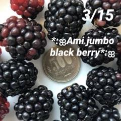 ブラックベリー　ご注文品 ブラックベリー CLASSIC Q20 （GIẢM GIÁ] Blackberry Classic