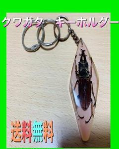 本セット Yoshy様専用 8点セット 昆虫キーホルダー レジン標本 送料無料予約受付中 その他 Rspg Spectrum Eu