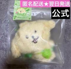2025年最新】WISH doll ジェヒの人気アイテム - メルカリ