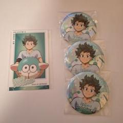 僕のヒーローアカデミア ヒロアカ アニマルビーチボール 緑谷出久