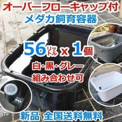 メダカ愛好家愛用容器20Lライトグレー5個オーバーフロー加工 