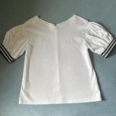 ボーダーズアットバルコニー　タックスリーブTシャツ パフスリーブカットソー　白 ボーダーズアットバルコニー タックスリーブTシャツ