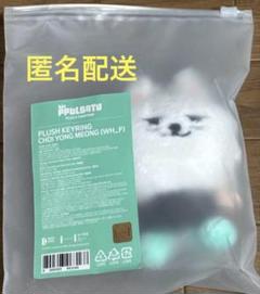 プルバトゥ まとめ売り セット 初期グッズ TXT グッズの新品・未使用品・中古品｜Yahoo!フリマ（旧PayPay