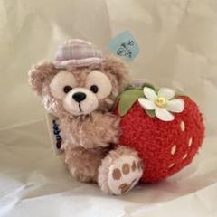 ♡ハートフェルトストロベリーギフト♡ぬいぐるみバッヂとチャーム♡タグ、値札付き♡ ぬいぐるみチャームは全員集合！東京ディズニーシー「ダッフィー