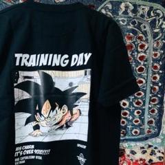 ドラゴンボール ティーシャツ 半袖 メンズ リプリント XL ２XL