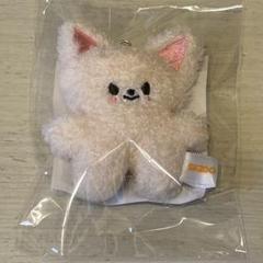 skzoo ぬい　10cm フォクシニー　まとめ売り　バッグチャーム skzoo ぬい10cm フォクシニーまとめ売りバッグチャーム