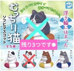 more-cats もあねこ ハイロ 黒雷 未開封品 ソフビ more-cats もあねこ ハイロ あいす ソフビ - メルカリ