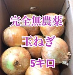 玉ねぎ 無農薬 5キロ 愛媛県産