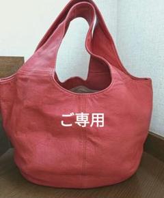 2025年最新】パピヨネ うさぎの人気アイテム - メルカリ