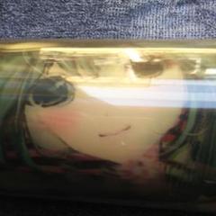 初音ミク2012winterVer. 3Dポスター限定品 2025年最新】初音ミク 3D ポスターの人気アイテム - メルカリ