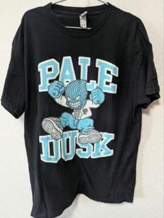 PALEDUSK Tシャツ L PALEDUSK / Tシャツの通販 by 鱸's shop｜ラクマ