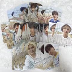 SEVENTEEN SHOPEE kpopmerch 110枚