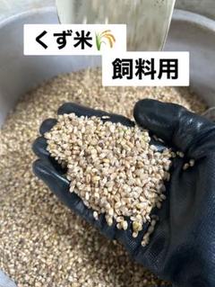 m94877566035_1.jpg?1733916444