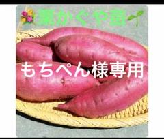 栗かぐや200本べにはるか100本 ハロウィン10パープル10ふくむらさき10 Amazon.co.jp: ITANSE さつまいもの苗 ふくむらさき 3号 2