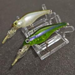 エバーグリーン　スピンムーブシャット　18個 SM