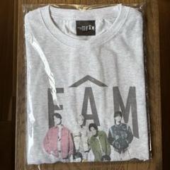 timelesz ツアーTシャツ　グレー timelesz FAM ツアーTシャツ グレー - メルカリ