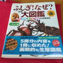 No.241 古書 洋書 児童書 植物·昆虫·動物·樹木·鳥·蝶·魚 図鑑 自然 No.241 古書 洋書 児童書 植物·昆虫·動物·樹木·鳥·蝶·魚 図鑑 自然