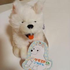 新品 タグ付き くったりサモエドくん　ごきげんぬいぐるみ