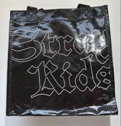 straykids エコパ アプグレ アップグレード 特典 グッズ 1式セット StrayKids アップグレード特典 抜けなし スキズ アプグレ