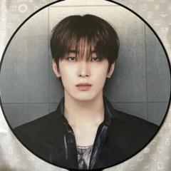 2025年最新】SEVENTEEN ウォヌ うちわの人気アイテム - メルカリ