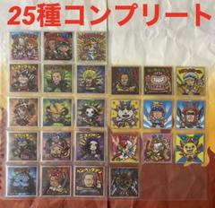 ワンピースマン　185種　フルコンプリート　ビックリマン ワンピースマンチョコ RED 25種コンプリート ビックリマンチョコ