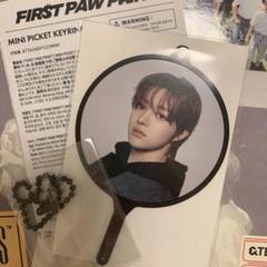 &TEAM EJ picket keyring