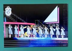 日向坂46/ポストカード 1点『6回目のひな誕祭』封入　5期生