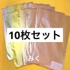GIGO ゼンレスゾーンゼロ ゼンゼロ チケットファイル 未開封 10