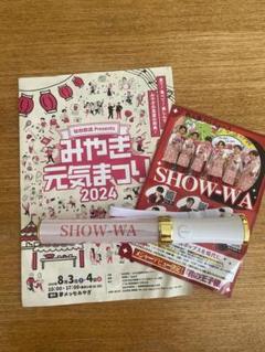 SHOW-WA ペンライト - メルカリ