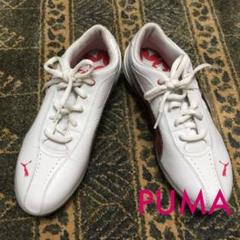 PUMA プーマ ゴルフシューズ 白×レッド PG TALLULA タルーラ