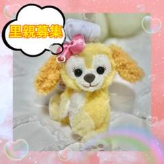 里親様見つかりました☆クッキーアン☆シェリーメイ ダッフィー