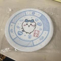 ハチワレ　皿　未開封