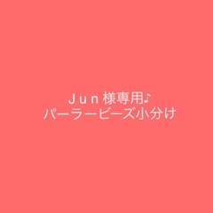 J un様専用♪5mmアイロンビーズカワタ正規品パーラービーズ小分け