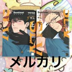 Sentinel Loverse センチネルラヴァーズ 上 下 やん