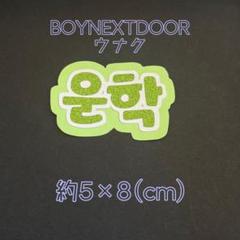 BOYNEXTDOOR ウナク ネームボード ペンライト