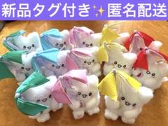 はなまるおばけ カラフルアンブレラマスコット 全5種 　13点　まとめ売り