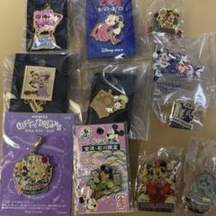 ディズニーストア ディズニーランド ミッキー ミニー ピンバッジ チャーム