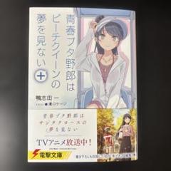 青春ブタ野郎はビーチクイーンの夢を見ない＋　限定版　B2Wスエードタペストリー 2025年最新】青春ブタ野郎はビーチクイーンの夢を見ないの人気