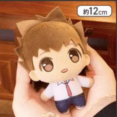 家庭教師ヒットマンREBORN！　リボーン　沢田綱吉　ツナ　ぬいぐるみ グッズ-ぬいぐるみ】家庭教師ヒットマンREBORN！ ケープたぴぬい