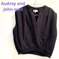 美品　オードリージョンウッド　高級ウール　エリザベスカラーケーブルニットベスト 2025年最新】audrey and john wad ベストの人気アイテム - メルカリ